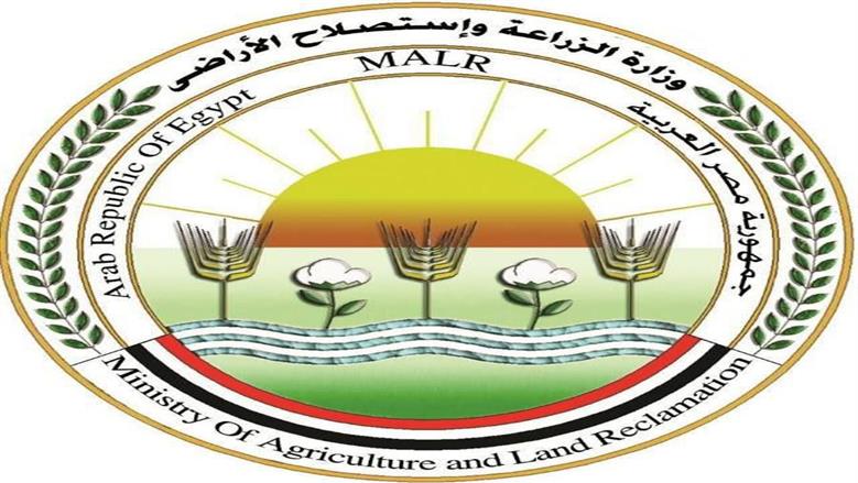 «الزراعة» تعلن المساحات الفعلية المنزرعة من محصول القطن.. كفر الشيخ تتصدر المحافظات