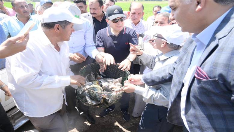 محافظ الغربية يدشن مشروع زراعة أسماك البلطي في حقول الأرز.. وإطلاق 14 ألف زريعة