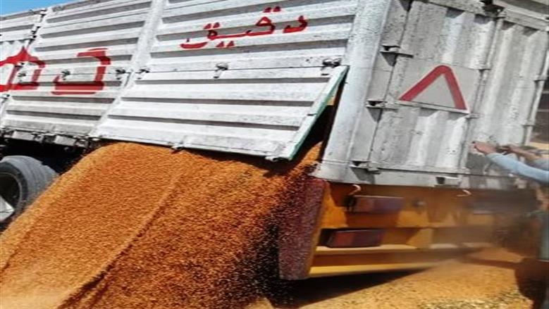 «تموين أسوان» تكثف المتابعة الميدانية لاستقبال القمح بالمواقع التخزينية