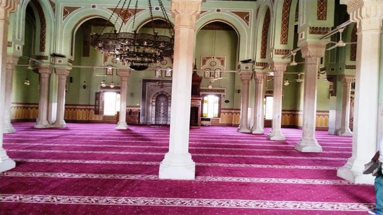 «الأوقاف» توفر فرشا لمسجد بدر في أسوان.. ومشروع متكامل لتطوير المنطقة المحيطة