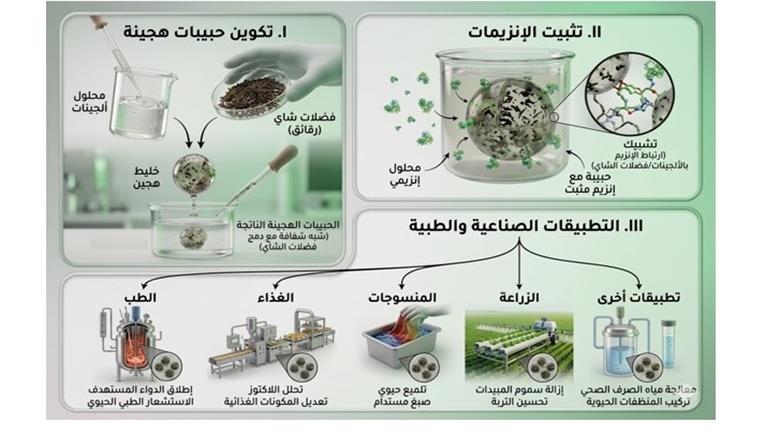 صور