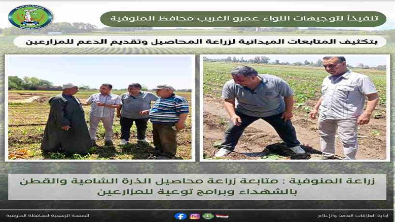 المنوفية 