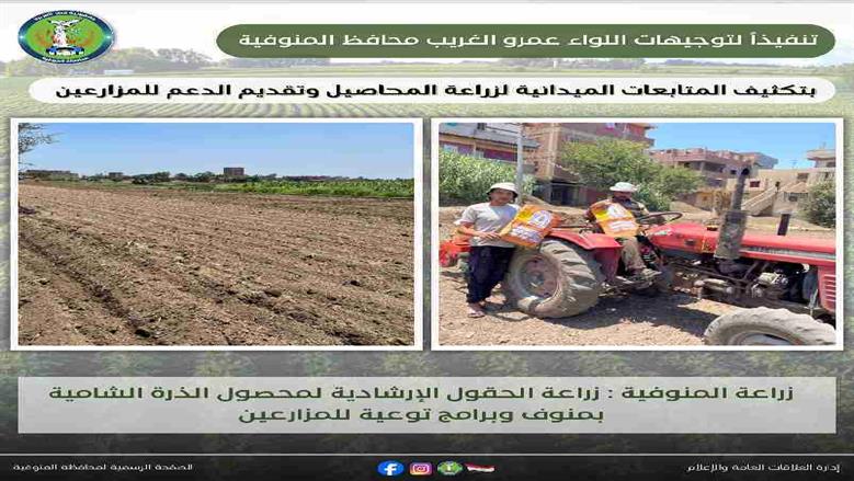 المنوفية 