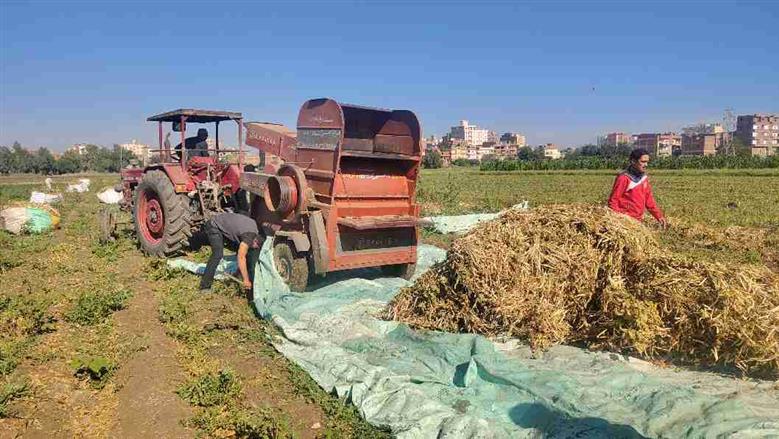  ماكينة دراسة الفاصوليا تأكل ذراع شاب في المنوفية