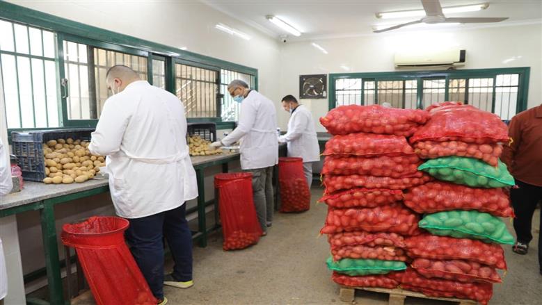«الزراعة»: فحص 970 ألف طن من صادرات البطاطس ورفع كفاءة نظم المتابعة بالأقمار الصناعية