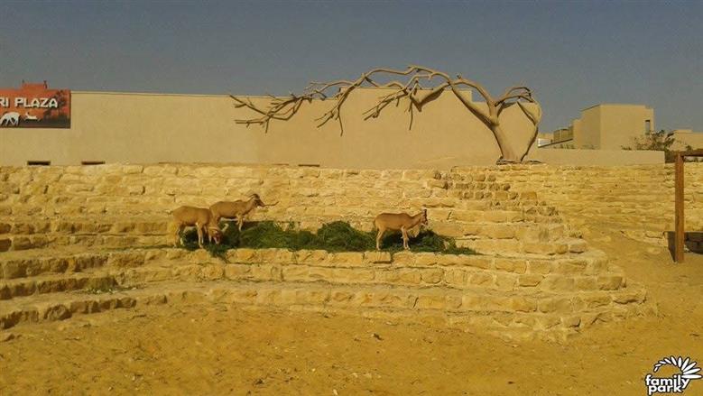 حيوانات