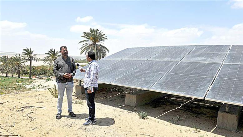 وداعا لـ«الديزل».. مصر تتوسع في استخدام الطاقة المتجددة لتوفير الكهرباء وتقليل فاتورة الاستيراد