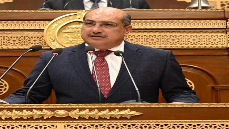 برلمانية «الشعب الجمهوري»: خطة التنمية الاقتصادية تعزز دور القطاع الخاص