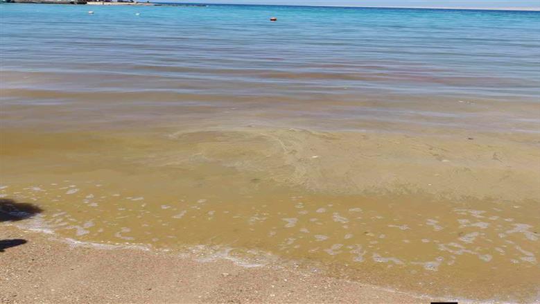 ظاهرة الطحالب المزدهرة