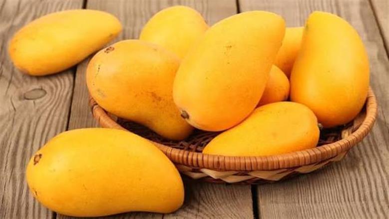  أسعار المانجو في سوق العبور اليوم الأربعاء 1-7-2026