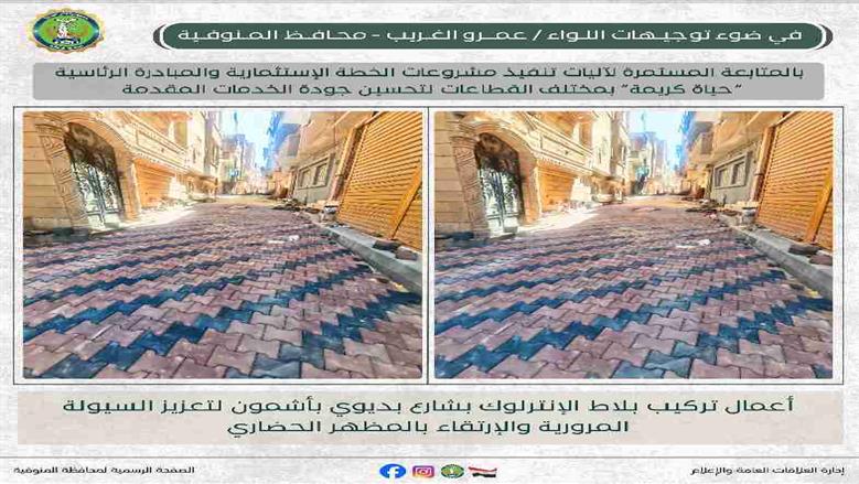 المنوفية
