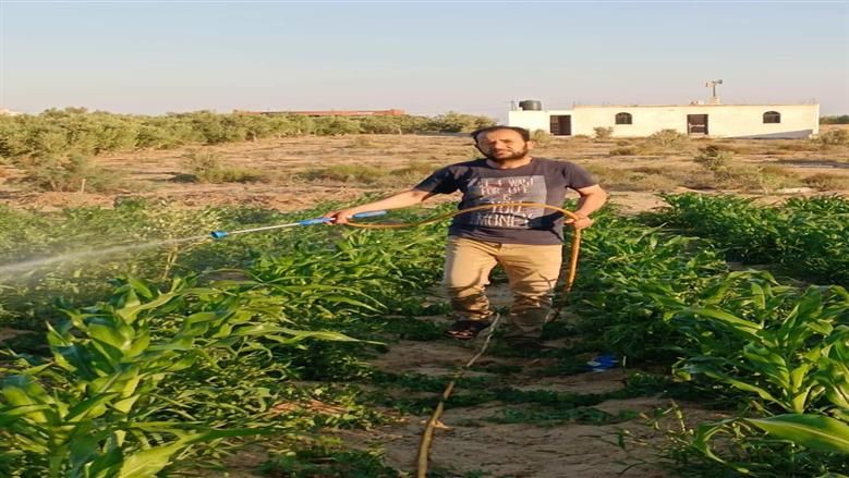مديرية الزراعة بشمال سيناء