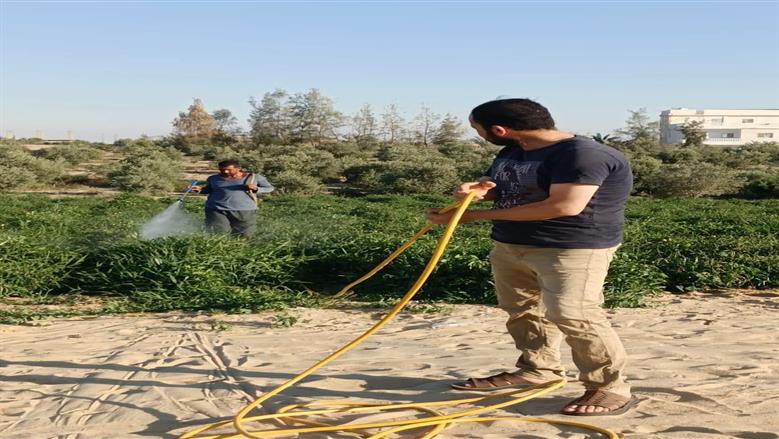 مديرية الزراعة بشمال سيناء