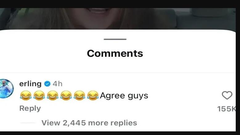 هالاند