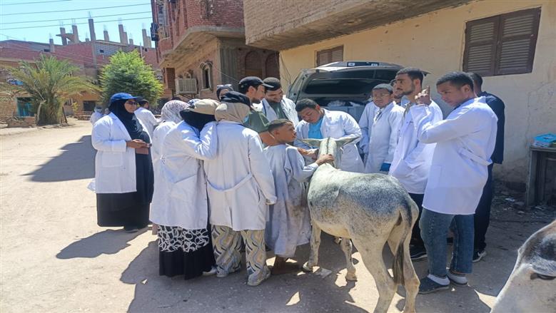 القوافل البيطرية بأسوان