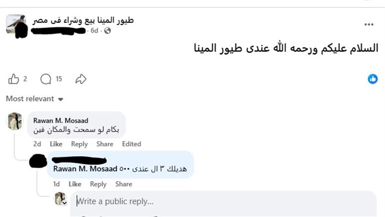 بيع على الإنترنت لطائر المينا الهندي