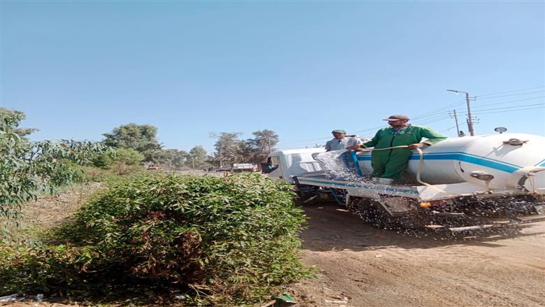 المنوفية
