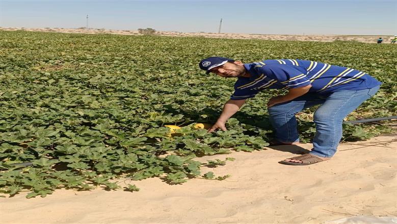 دعم المزارعين بشمال سيناء