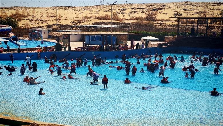 شيماء طه
