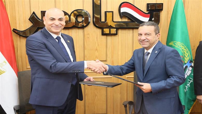 المنوفية