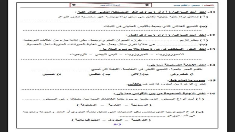 الأحياء