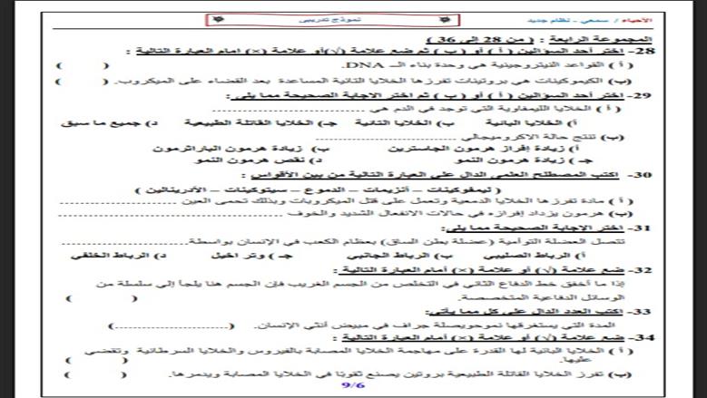 الأحياء