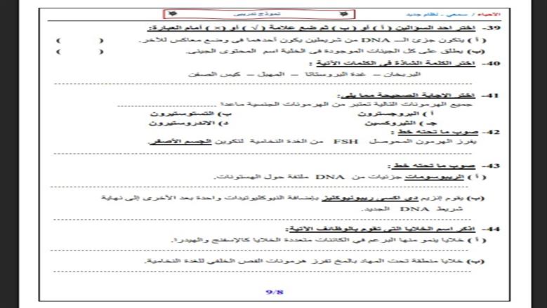 الأحياء