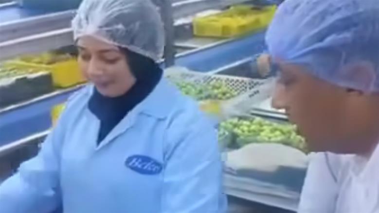 منحة دراسية كاملة لطالبة جامعة بنها بعد لقائها رئيس الوزراؤ أثناء عملها بجانب الدراسة