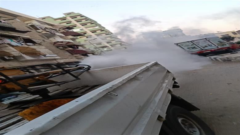 حملات لمكافحة الحشرات والبعوض ببورسعيد