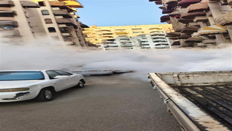 حملات لمكافحة الحشرات والبعوض ببورسعيد