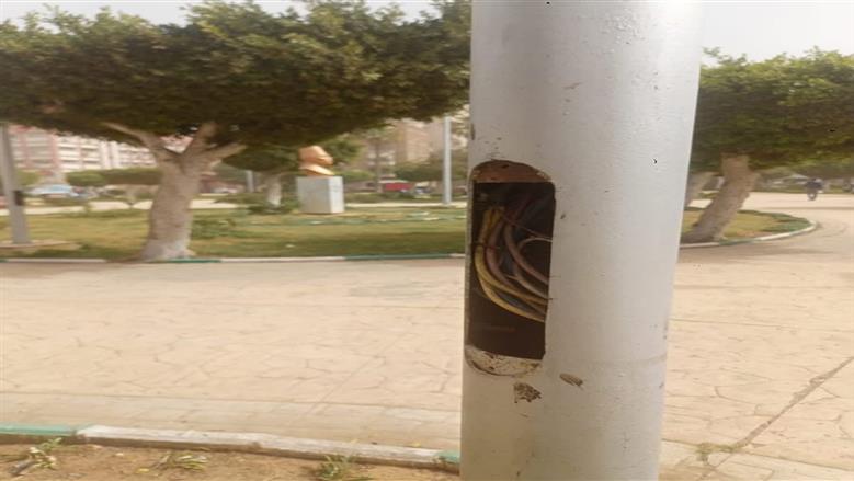 التصدي لسرقة الكهرباء ببورسعيد
