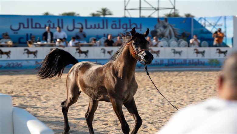 حملة “يلا ساحل” تواصل تقديم أجندة صيفية متنوعة لتعزيز مكانة الساحل الشمالي كوجهة ترفيهية وسياحية واستثمارية متكاملة