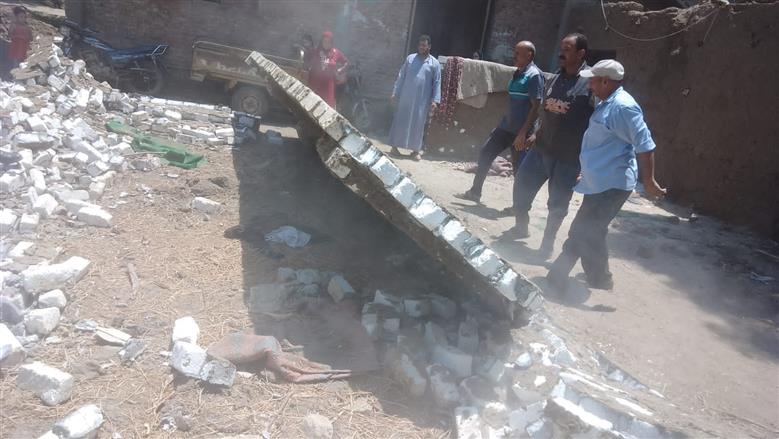 حملة إزالة مكبرة بالمنوفية