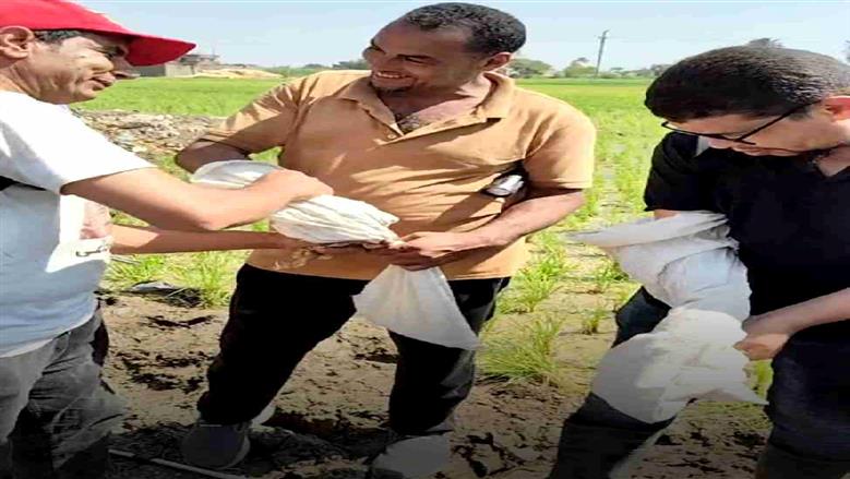 بعد وفاة سيدة وطفل.. اصطياد 5 ثعابين والعثور على جلد الكوبرا بقرية القراقرة بالشرقية