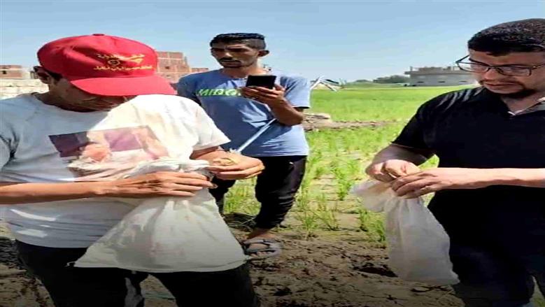 بعد وفاة سيدة وطفل.. اصطياد 5 ثعابين والعثور على جلد الكوبرا بقرية القراقرة بالشرقية