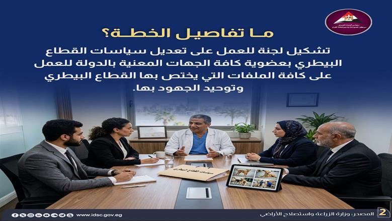 الكلاب