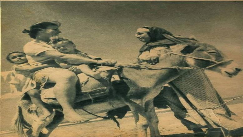 مصيف بلطيم