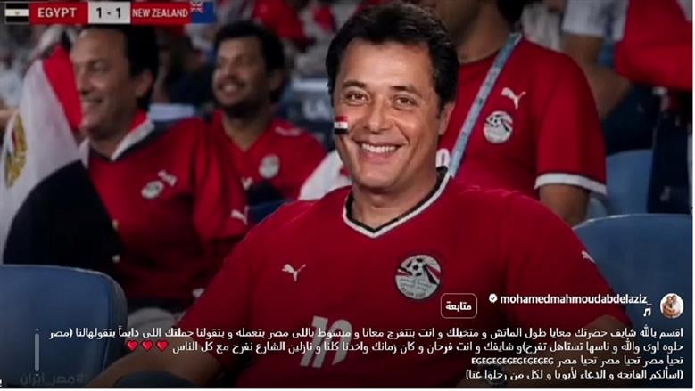 محمود عبد العزيز