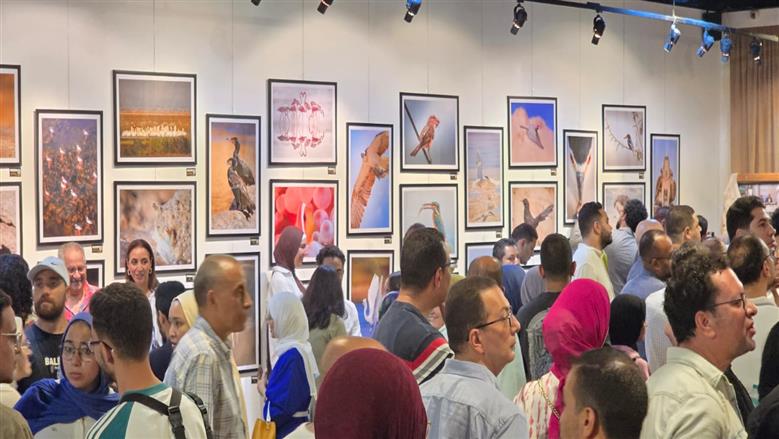 معرض الحياة البرية
