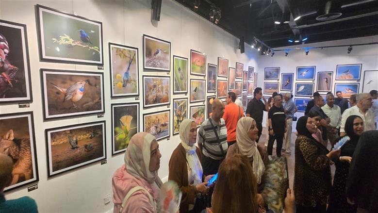 معرض الحياة البرية