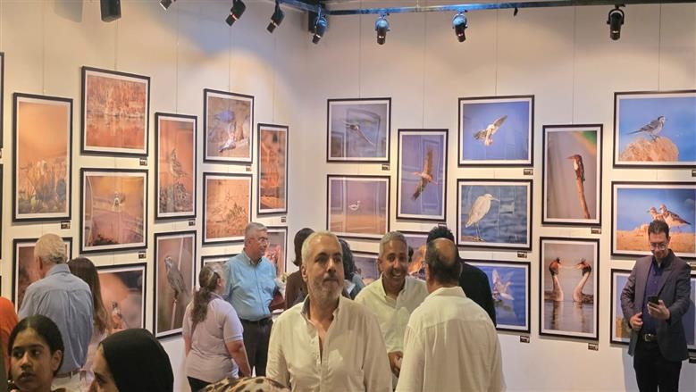 معرض الحياة البرية