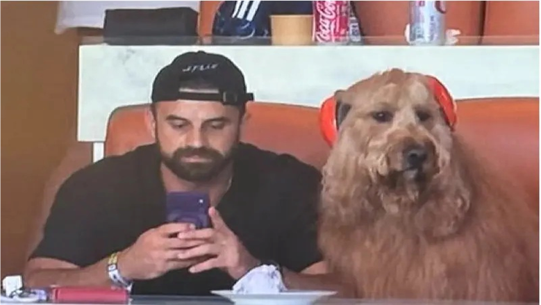 الكلب برودي