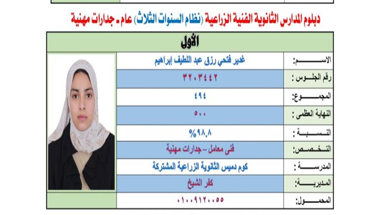 غدير