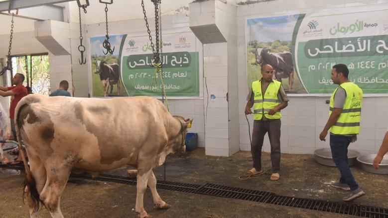 غرامة تصل لـ10 آلاف جنيه.. الإسماعيلية تنشر 9 محاذير لشوادر الذبيح واللحوم