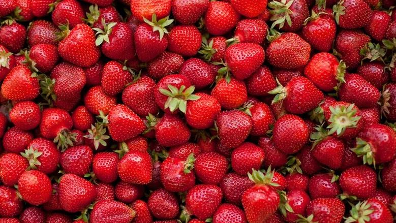 فواكه وخضراوات تقوي النظر وتحافظ على العينين.. احرص على تناولها 