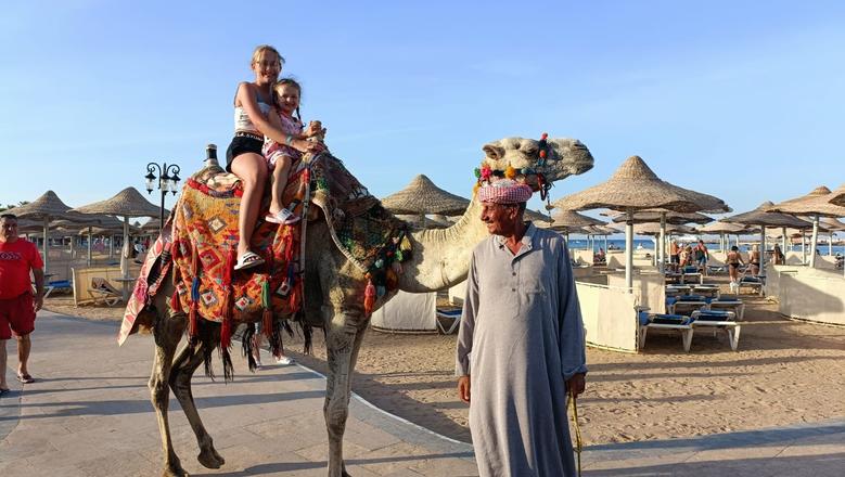 سياحة الجمال تجذب الأجانب على شواطئ الغردقة «صور»