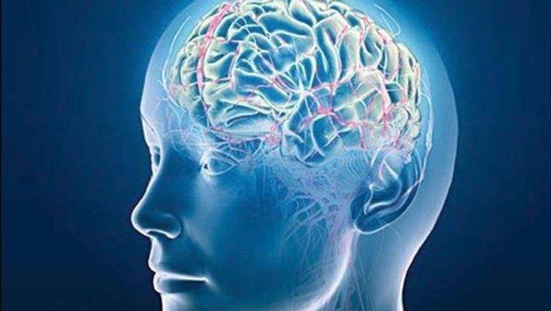 دراسة: مركز الذاكرة في الدماغ لا يتوقف أبدا عن إنتاج الخلايا العصبية