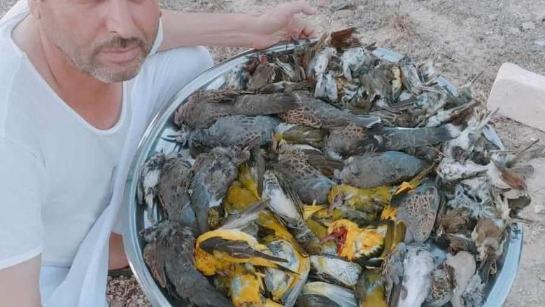 بدء استخراج تصاريح صيد الطيور المهاجرة في مطروح وفق ضوابط «البيئة»