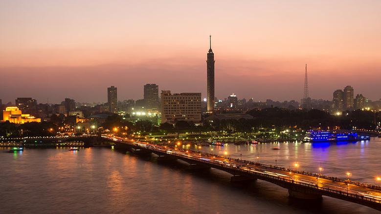 «الوزراء»: 36% من أنواع أسماك المياه العذبة مهددة بالانقراض 