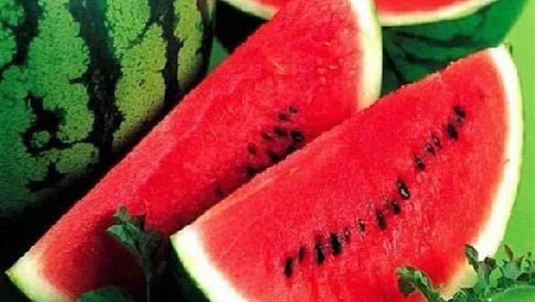نقيب الفلاحين: أسعار البطيخ تشهد انخفاضا بنسبة تتراوح بين 20 إلى 30%